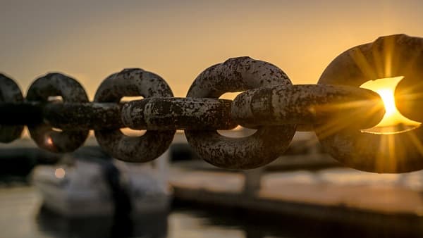 How supply chains can limit counterfeits