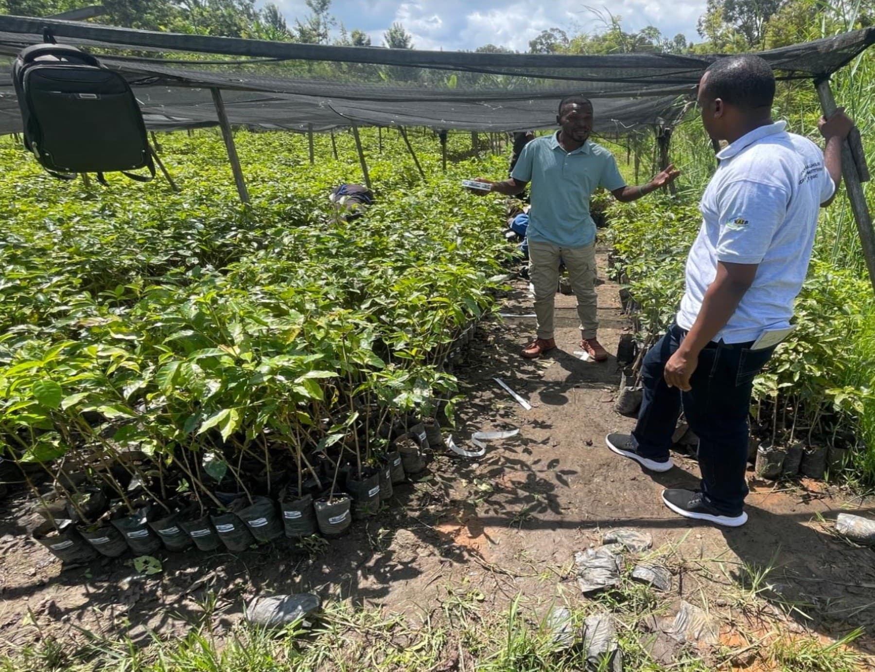 Kopakaki Dutegure team at the seedling nursery in Karongi